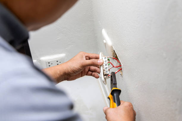 Best Electric Panel Repair  in La Grange, TX